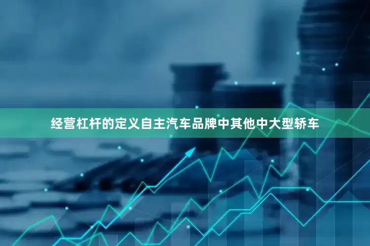 经营杠杆的定义自主汽车品牌中其他中大型轿车