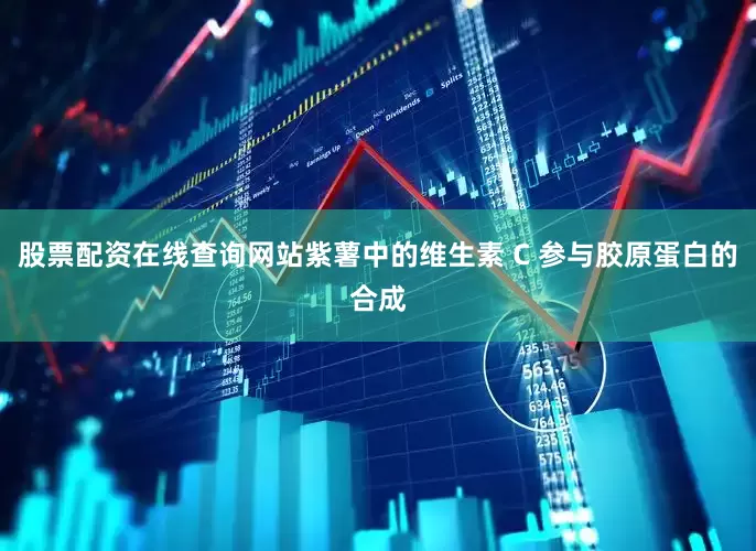 股票配资在线查询网站紫薯中的维生素 C 参与胶原蛋白的合成