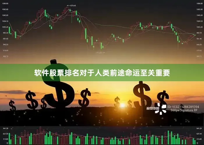 软件股票排名对于人类前途命运至关重要
