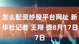 怎么配资炒股平台网址 新华社记者 王翔 摄8月17日