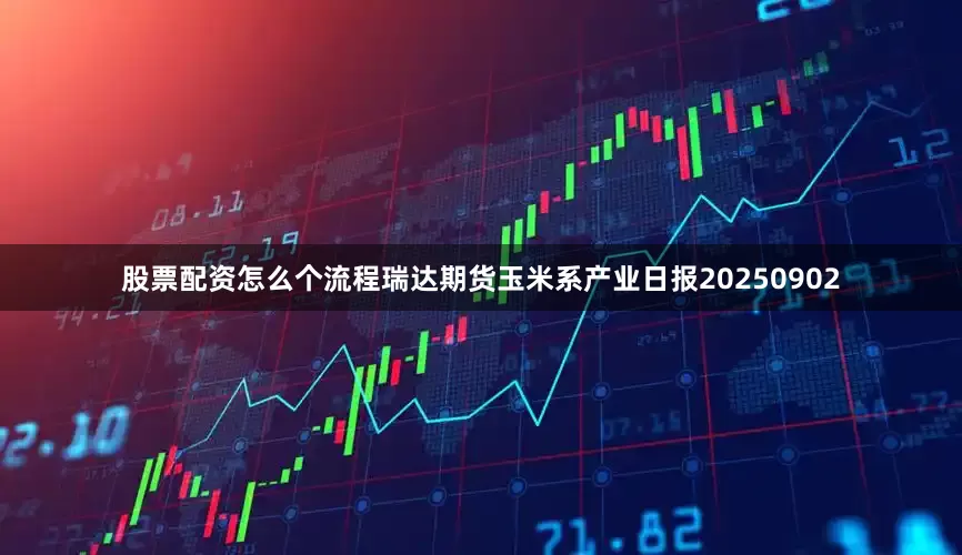 股票配资怎么个流程瑞达期货玉米系产业日报20250902
